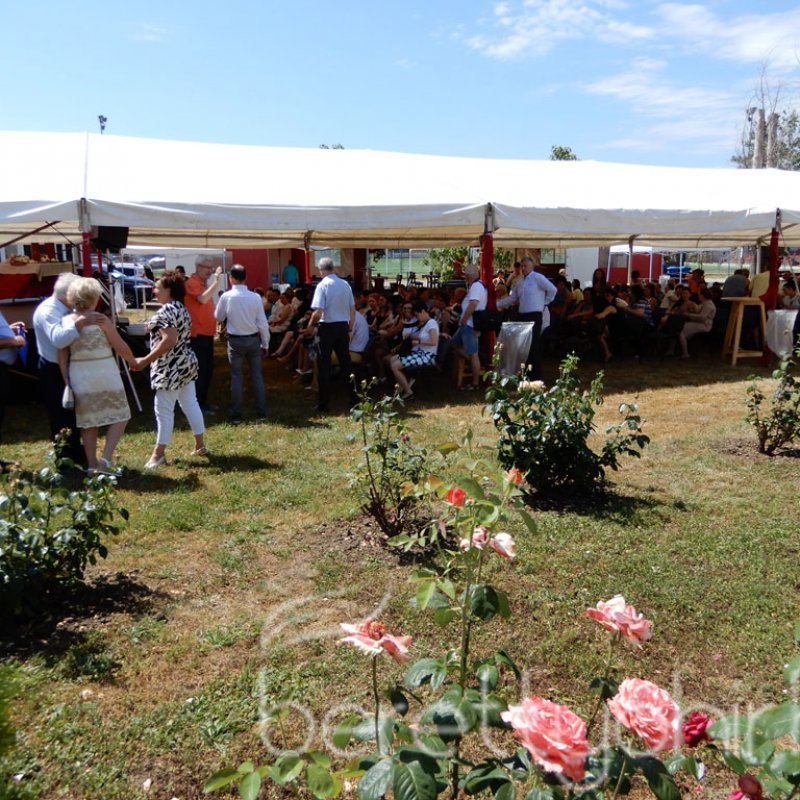 Semmelweis napi party 09